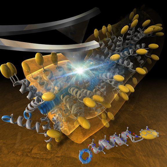 Scientific cover picture illustration services | Biomacromolecules, 12 ...