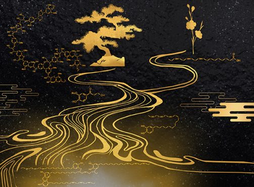 Scientific cover picture illustration services | RSC Sustainability, 1 ...